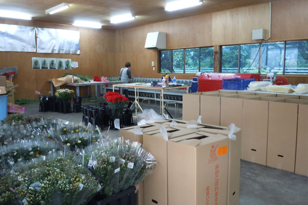 有限会社三共青果4tドライバー〔四国島内〕画像|S