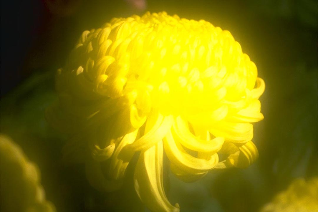 |S