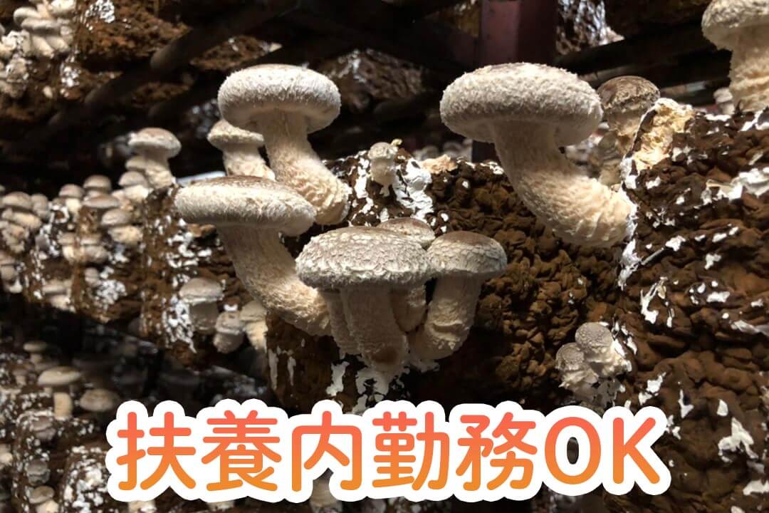 |S