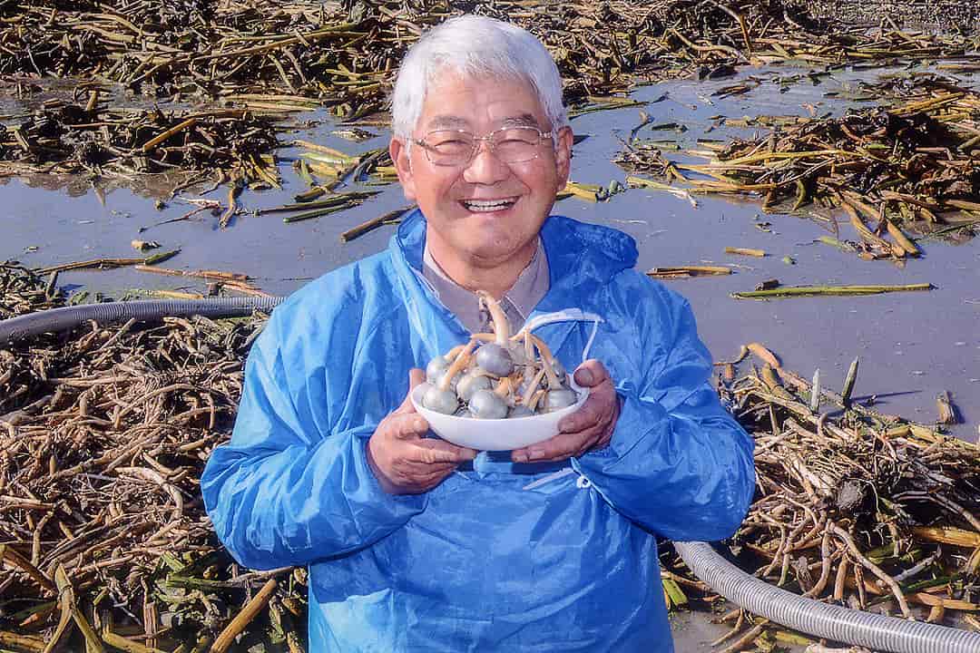 渡辺農園くわいの収穫･選別･箱詰め農作業〔短期〕画像|S